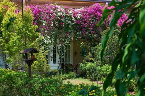 frangeli house photos|Frangeli House .